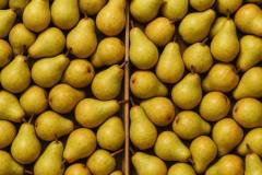 20250831_2238_Skrzynki-Pelne-Gruszek_simple_compose_01k40xhcwyeddt36hhzqjt7jd2